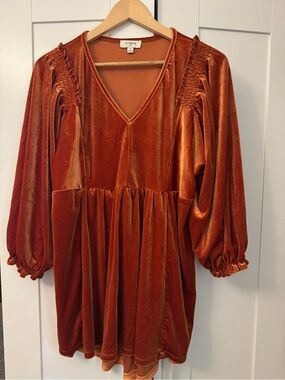 Umgee Burnt Orange Velvet V-Neck Peasant top